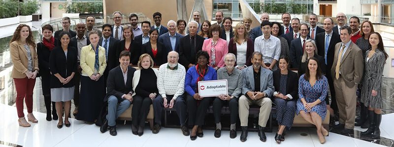 Adaptable project team