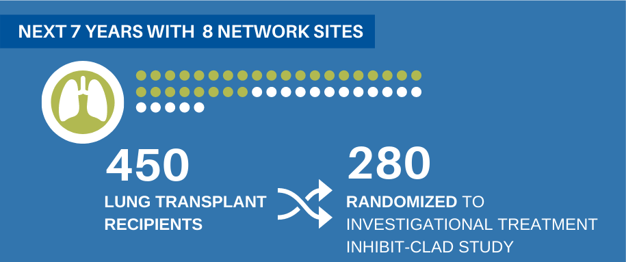 next 7 years with 8 network sites