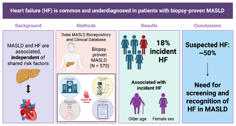 An infographic representing that heart failure is common and underdiagnosed in patients with biopsy-proven MASLD