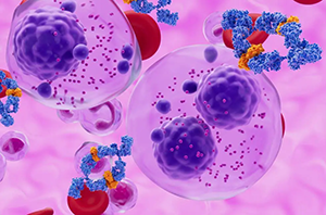 Scientific illustration showing purple cancer cells and blue antibody proteins against a pink background, representing immunotherapy treatment for multiple myeloma