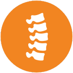 Icon of a spine