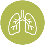 Icon of lungs