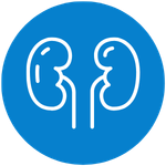 A blue circle with a icon of the kidneys